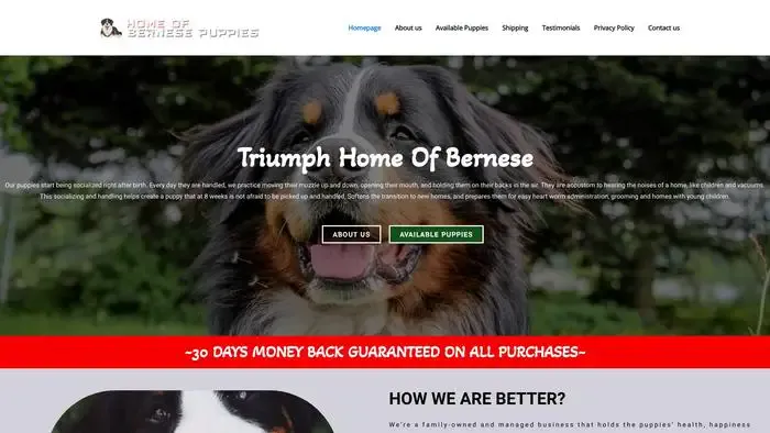 Screenshot of