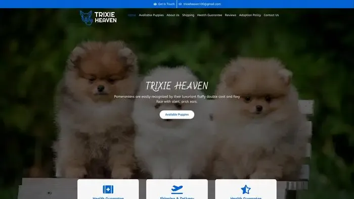 Screenshot of