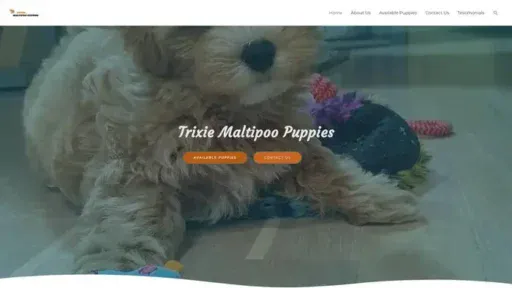 Screenshot of