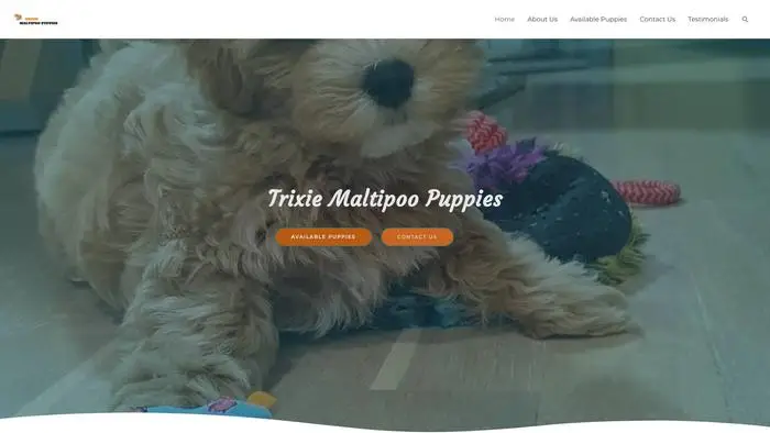 Screenshot of
