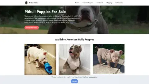 Screenshot of