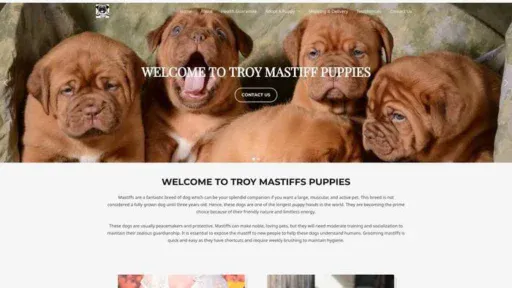 Screenshot of|