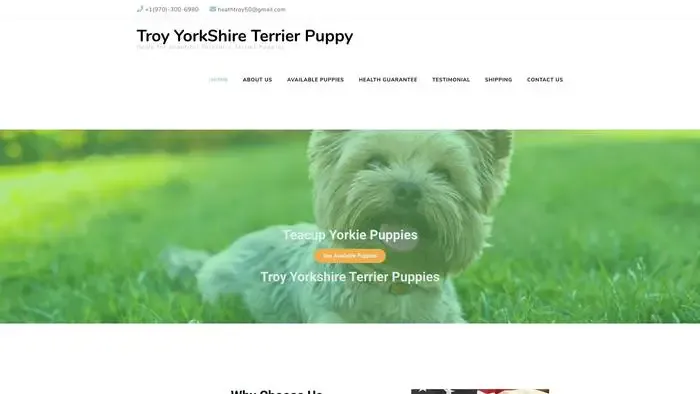 Screenshot of