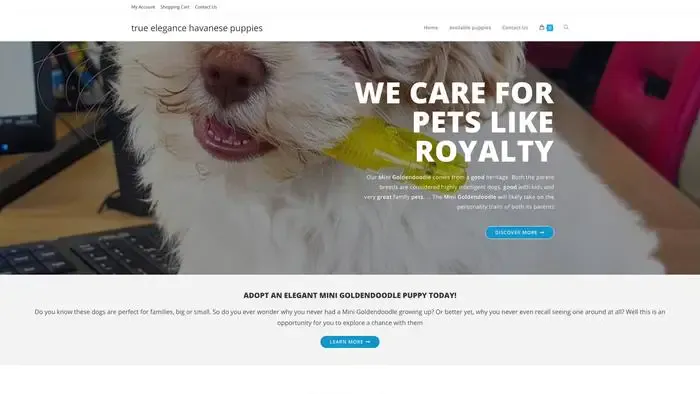 Screenshot of