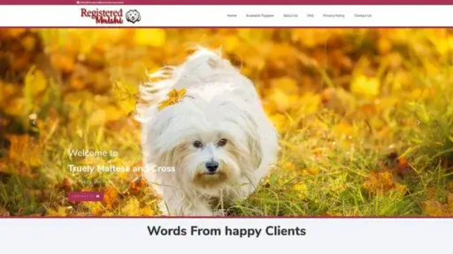 Screenshot of