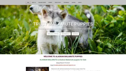 Screenshot of