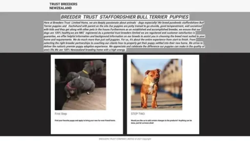 Screenshot of