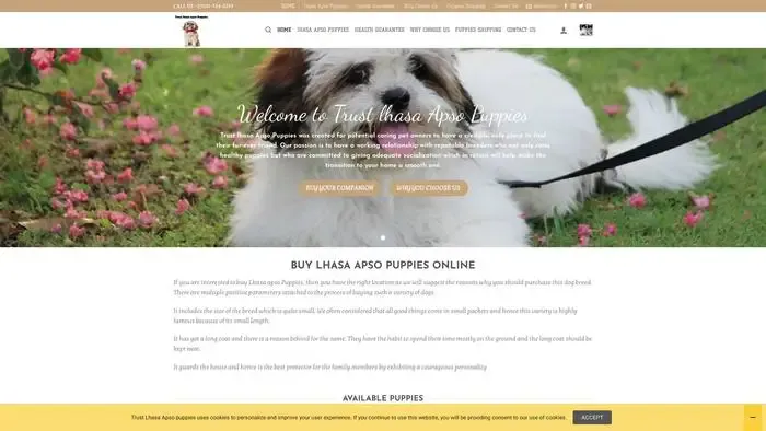 Screenshot of