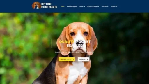 Screenshot of