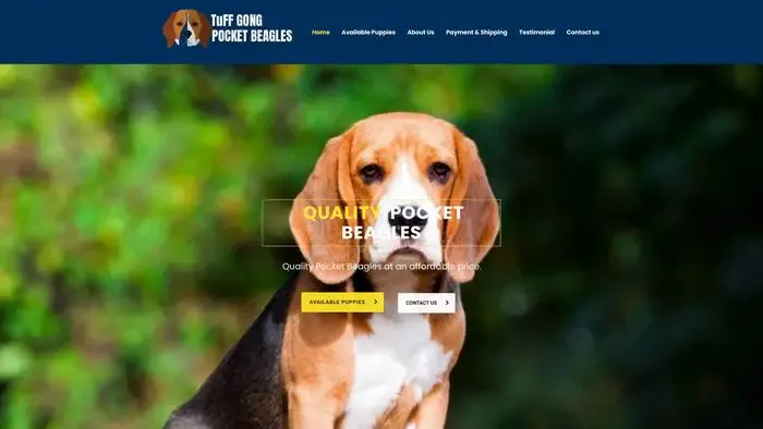Screenshot of
