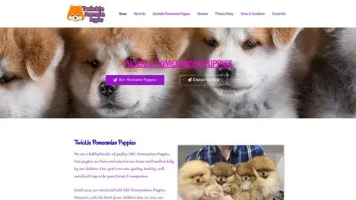 Screenshot of