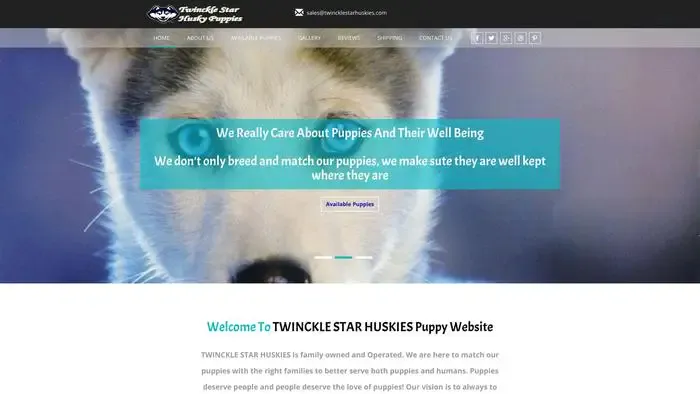 Screenshot of