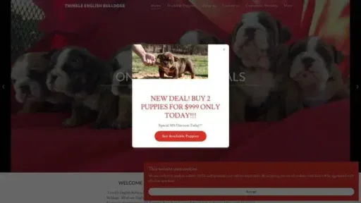 Screenshot of