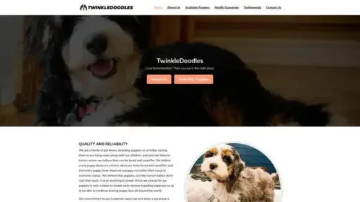 Screenshot of