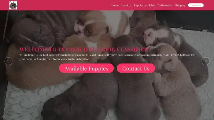 Screenshot of