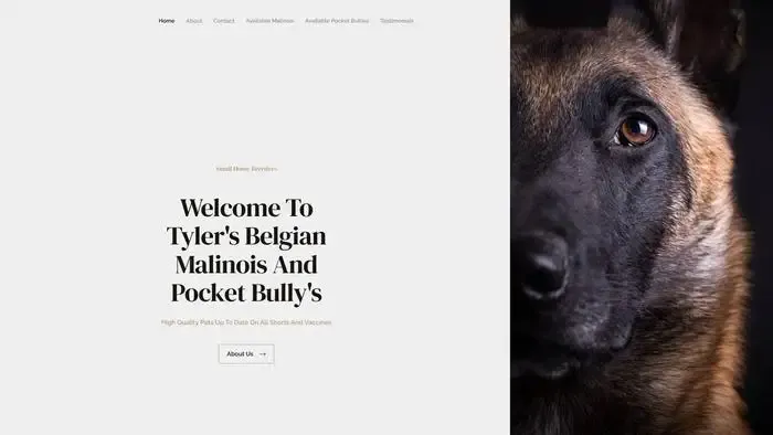 Screenshot of