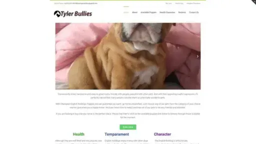 Screenshot of