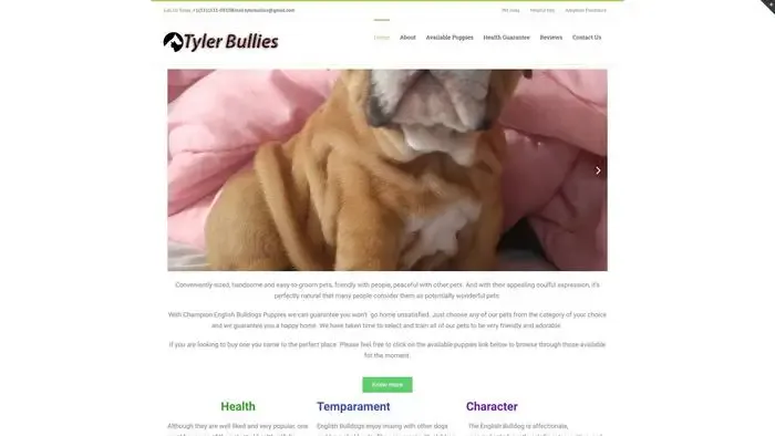 Screenshot of