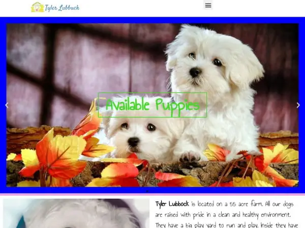 Screenshot of