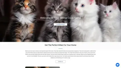 Screenshot of
