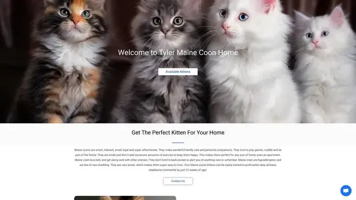 Screenshot of