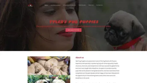 Screenshot of|
