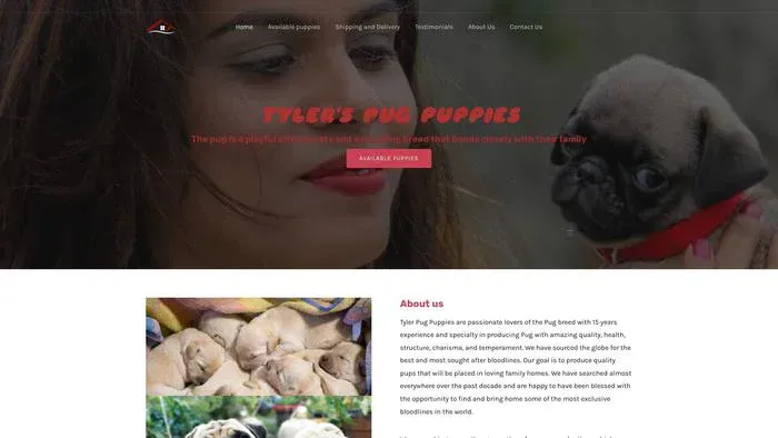Screenshot of|