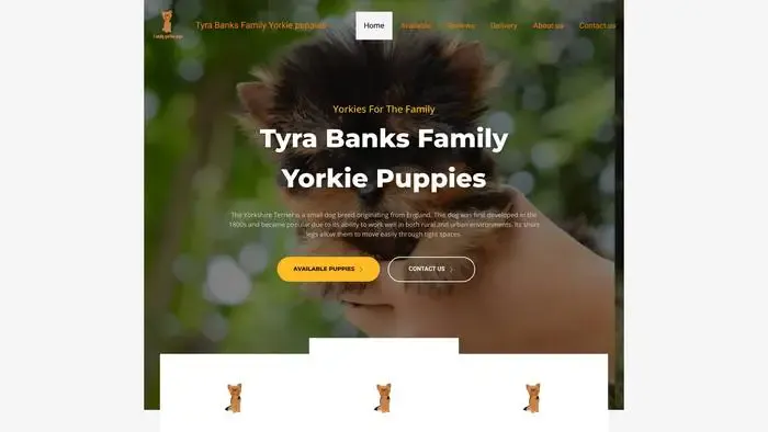 Screenshot of