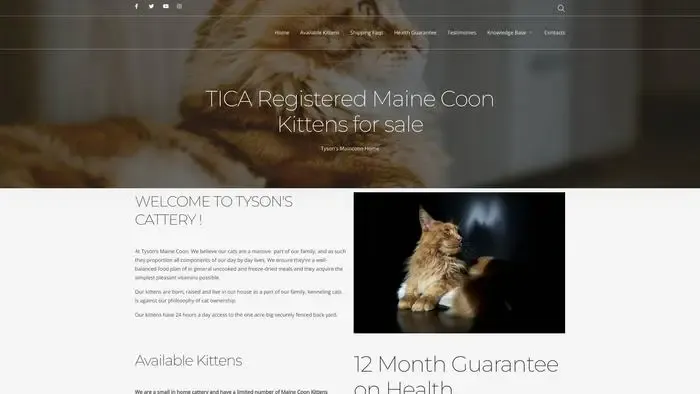 Screenshot of