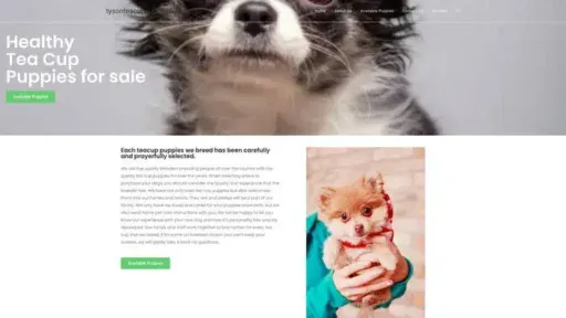 Screenshot of