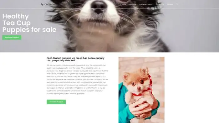Screenshot of