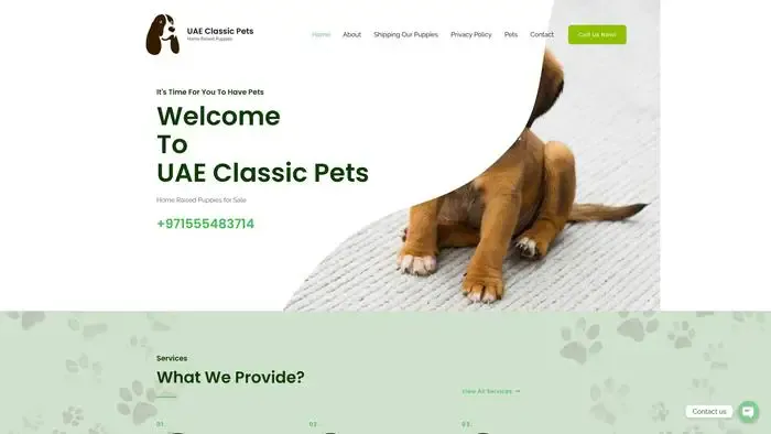 Screenshot of