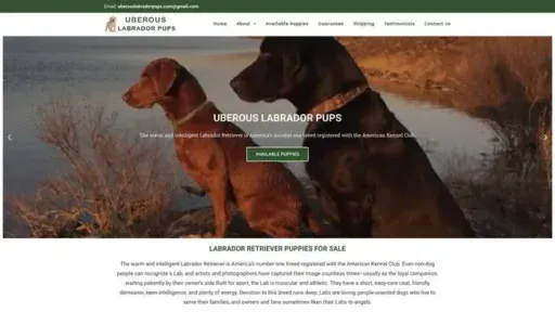 Screenshot of