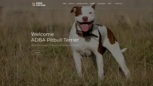 Screenshot of