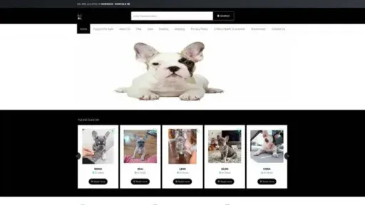 Screenshot of
