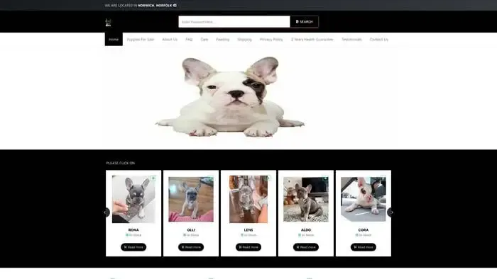 Screenshot of