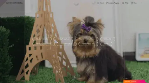 Screenshot of
