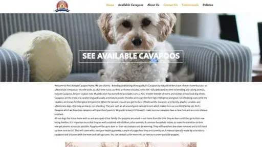 Screenshot of