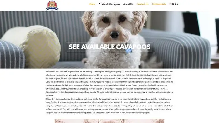 Screenshot of