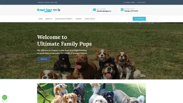 Screenshot of