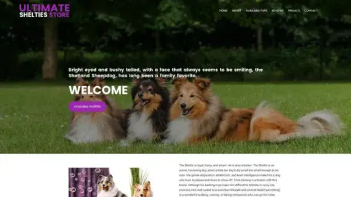 Screenshot of