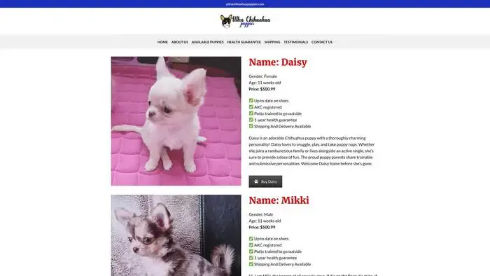 Screenshot of