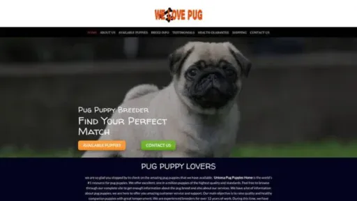 Screenshot of||
