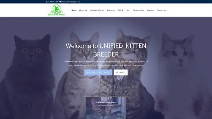 Screenshot of