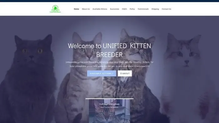 Screenshot of