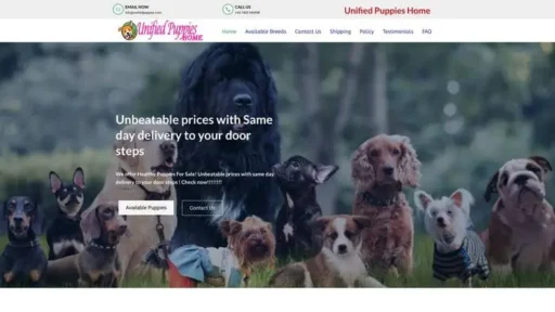 Screenshot of