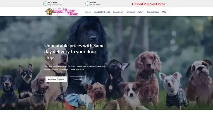 Screenshot of