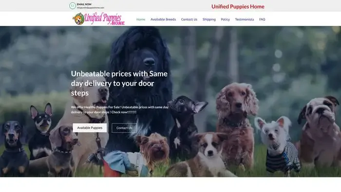 Screenshot of