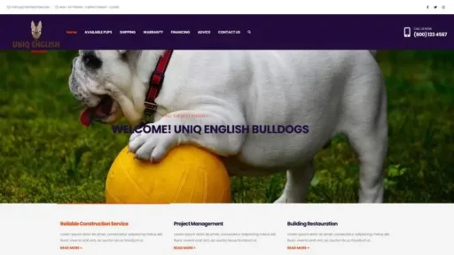 Screenshot of
