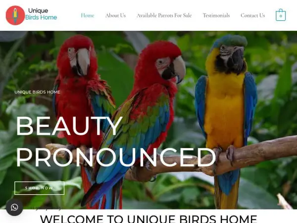 Screenshot of